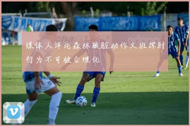 媒体人评论森林狼脏动作文班挥肘行为不可被合理化
