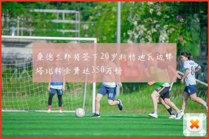 桑德兰即将签下20岁科特迪瓦边锋塔比转会费达350万镑